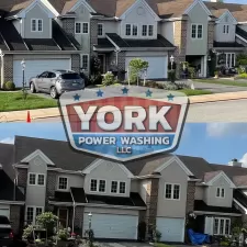 York project